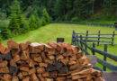 Brennholz Stapel vor grüner Wiese am Bauernhof