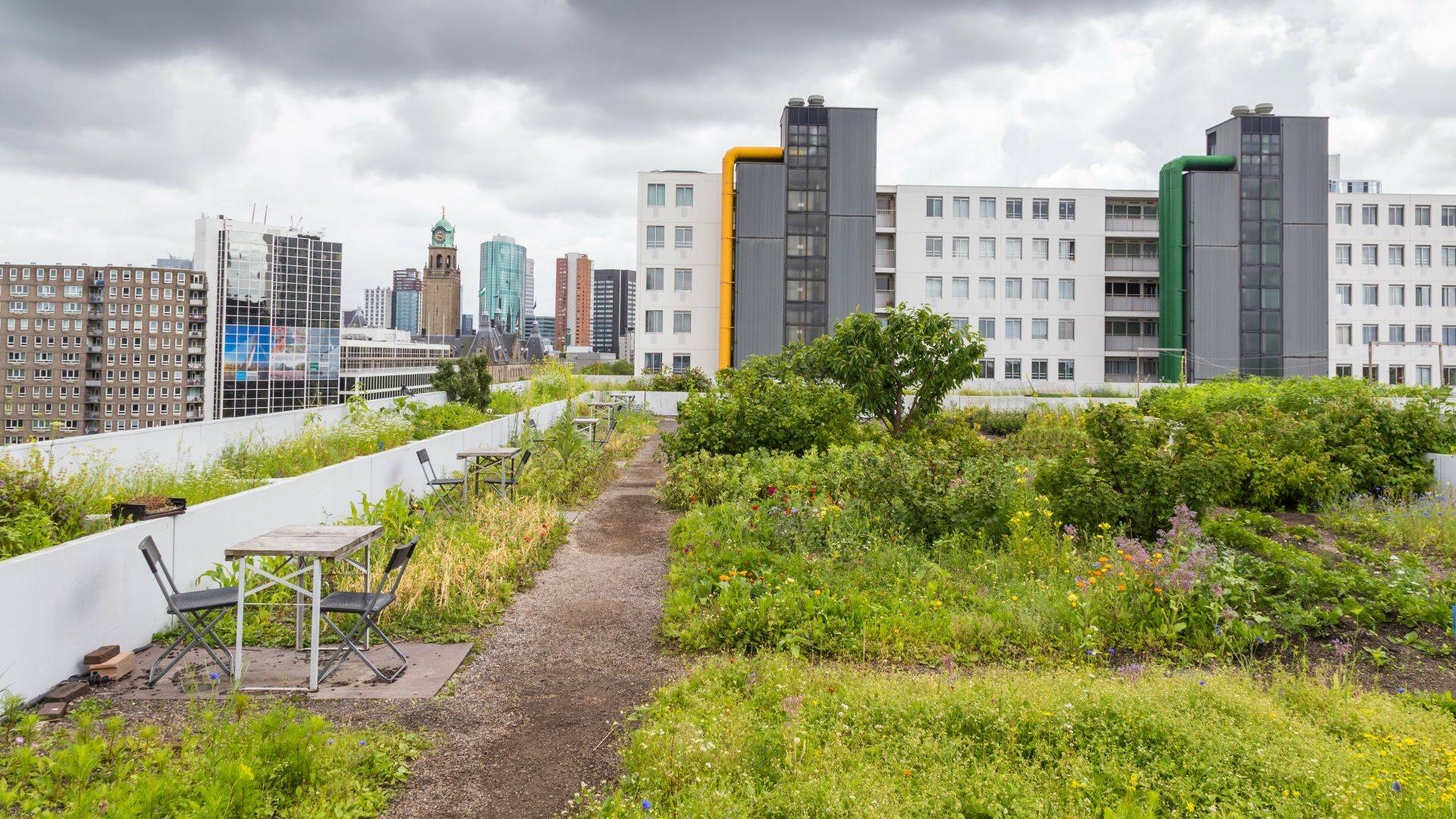 Dachgarten in der Stadt mit Sitzbereich und Pflanzen