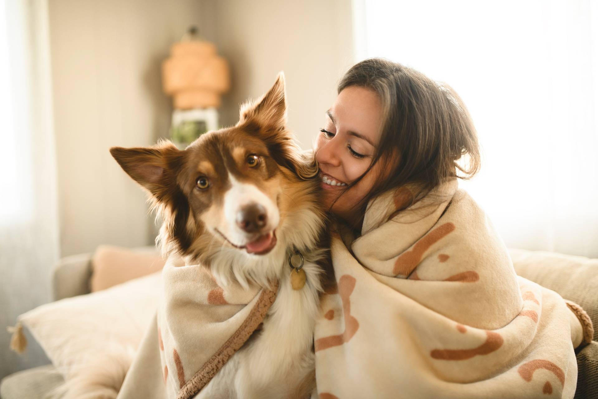 Hundetrockenfutter Moment mit Mensch und Hund unter Decke